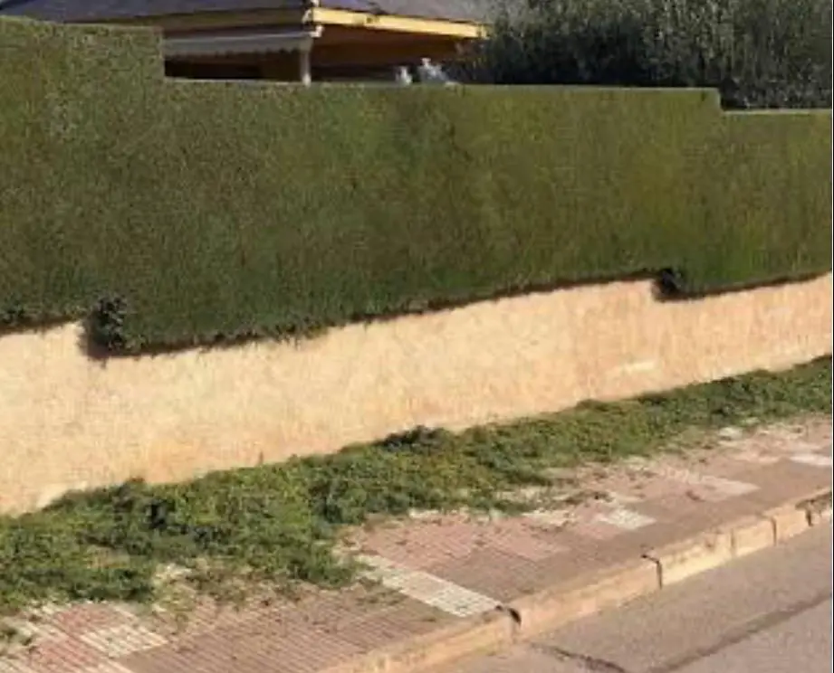 Instalación de seto en zona exterior